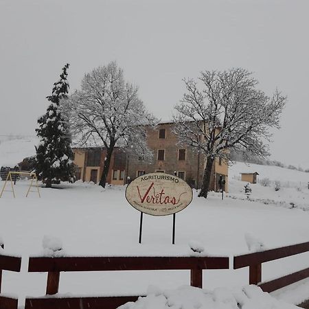 Agriturismo "Veritas" Bed & Wine Casaleggio Boiro Exteriér fotografie